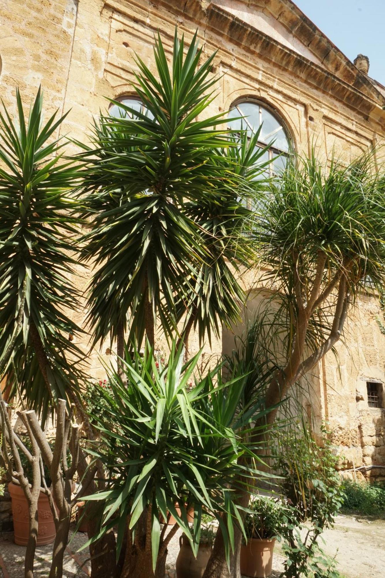 Room In Villa Galletti Inguaggiato باغيريا المظهر الخارجي الصورة